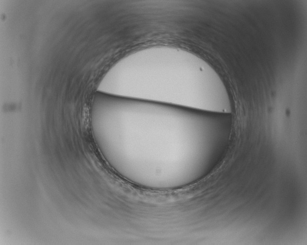 X0000051860029200507081834