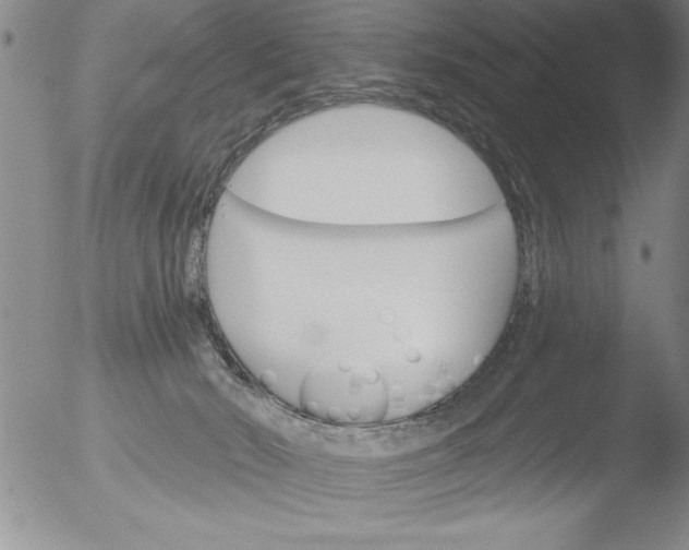 X0000051860030200507081834