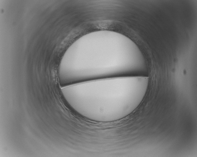 X0000051860031200507081834