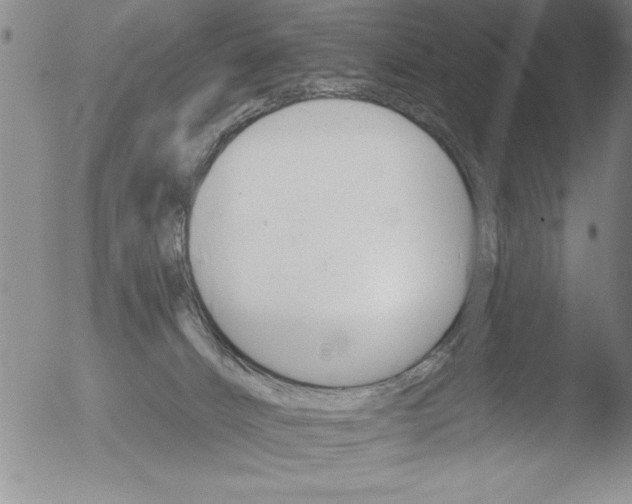 X0000051860032200507081834