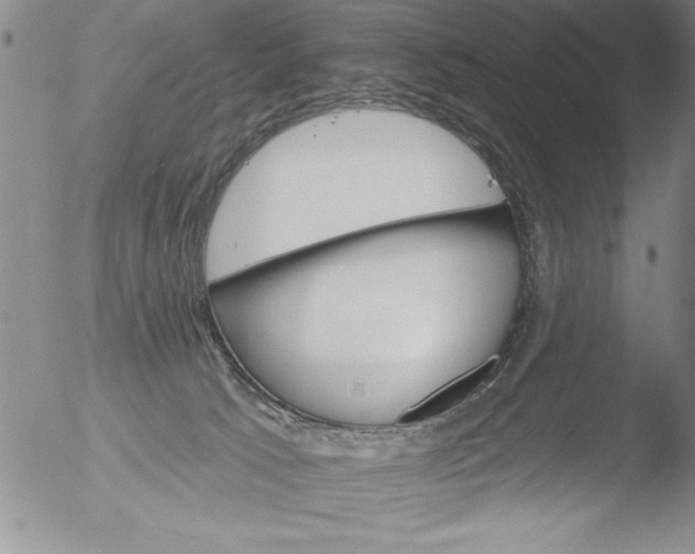 X0000051860033200507081834