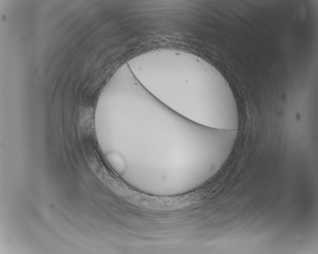 X0000051860034200507081834