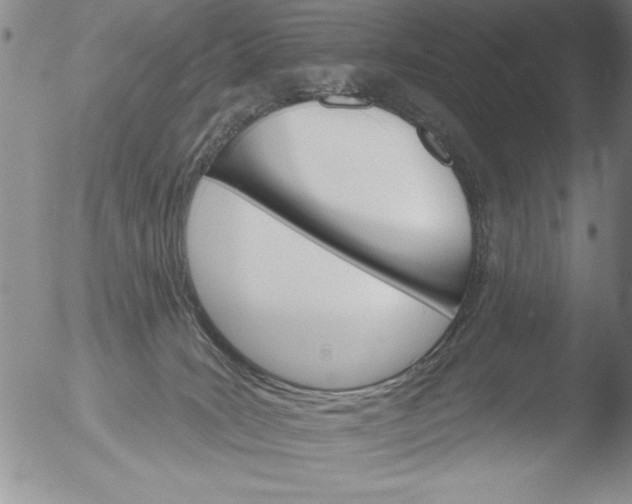 X0000051860035200507081834