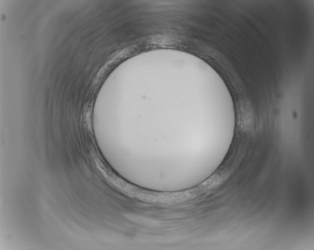 X0000051860036200507081834