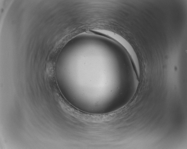 X0000051860037200507081834