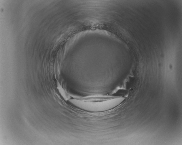 X0000051860039200507081834