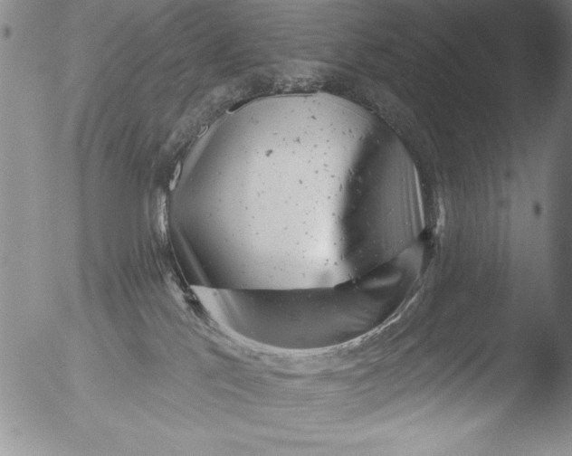 X0000051860041200507081834