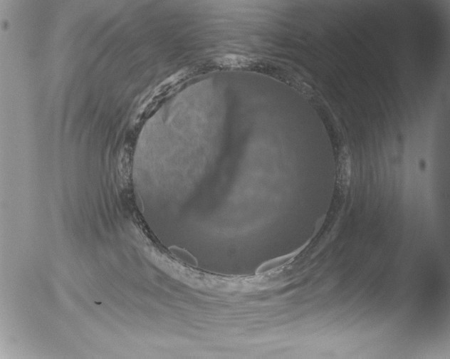 X0000051860043200507081834