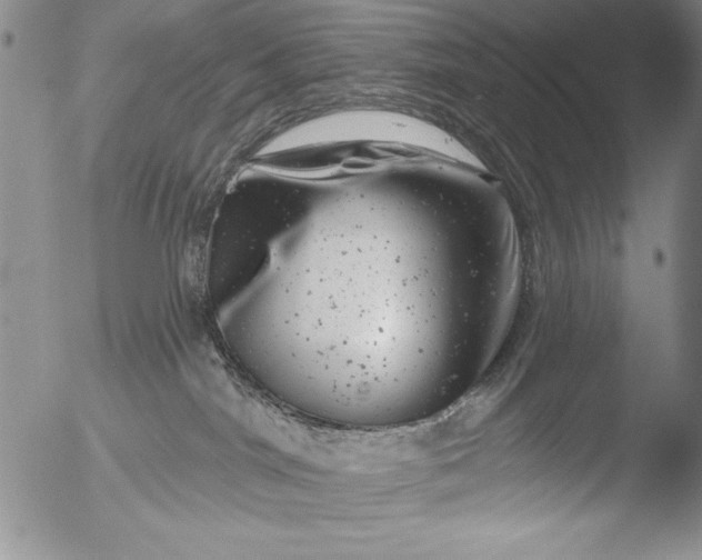 X0000051860044200507081834