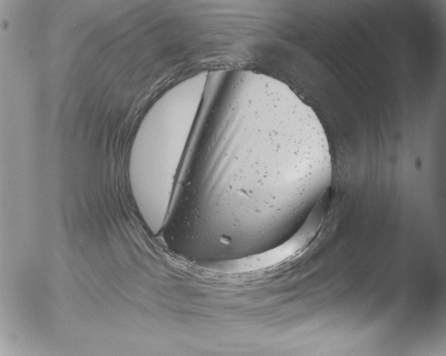 X0000051860045200507081834