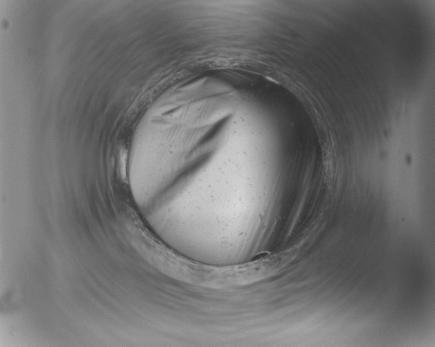 X0000051860046200507081834