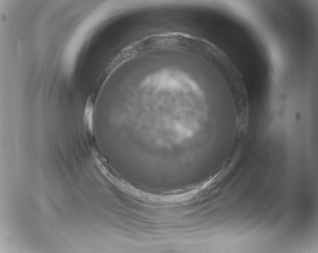 X0000051860047200507081834