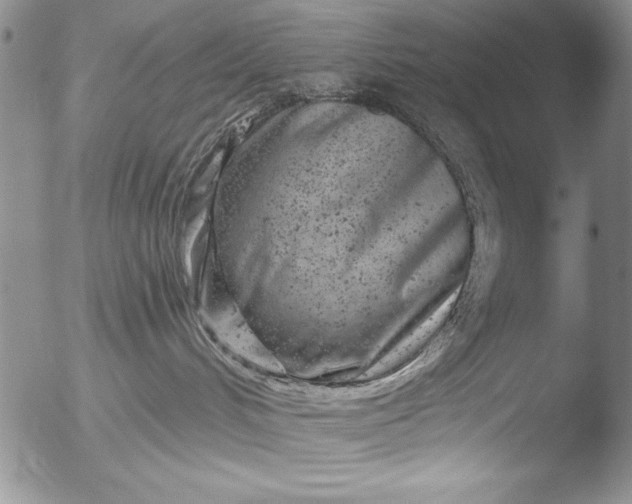 X0000051860048200507081834