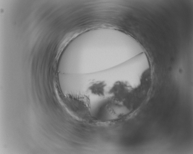 X0000051860049200507081833