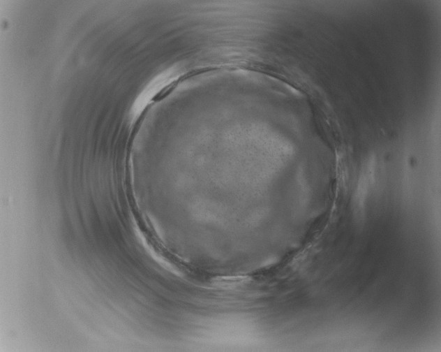 X0000051860051200507081833