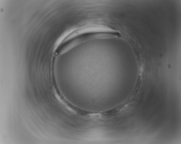 X0000051860052200507081833