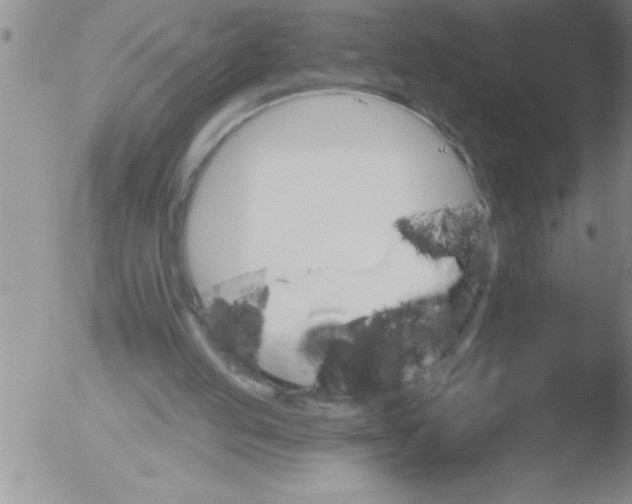 X0000051860053200507081833