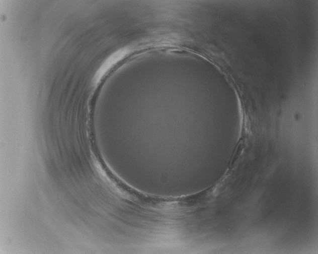 X0000051860054200507081833