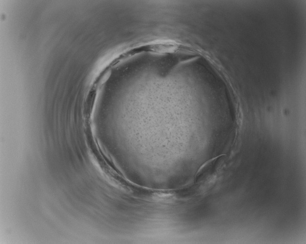 X0000051860055200507081833