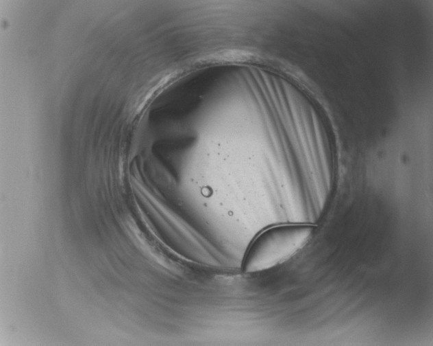 X0000051860057200507081833