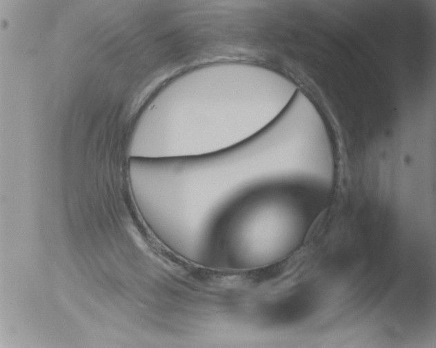 X0000051860058200507081833