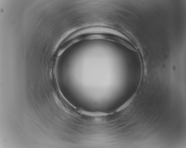 X0000051860060200507081833