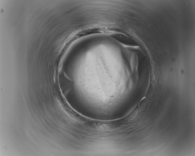 X0000051860062200507081833