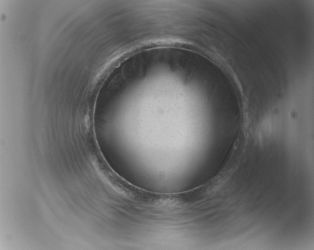 X0000051860063200507081833