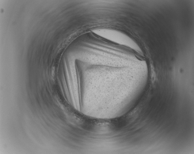 X0000051860066200507081833