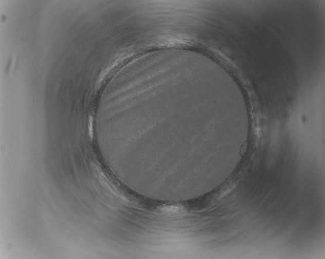 X0000051860067200507081833