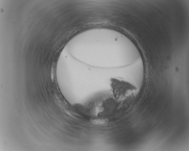 X0000051860069200507081833