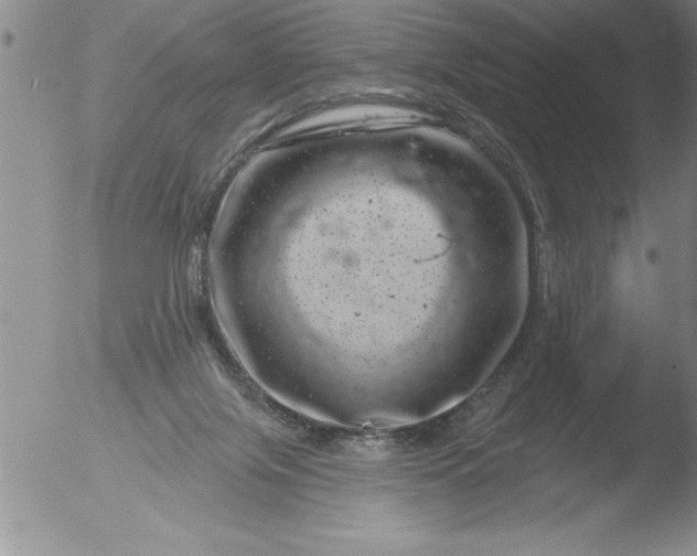 X0000051860071200507081833