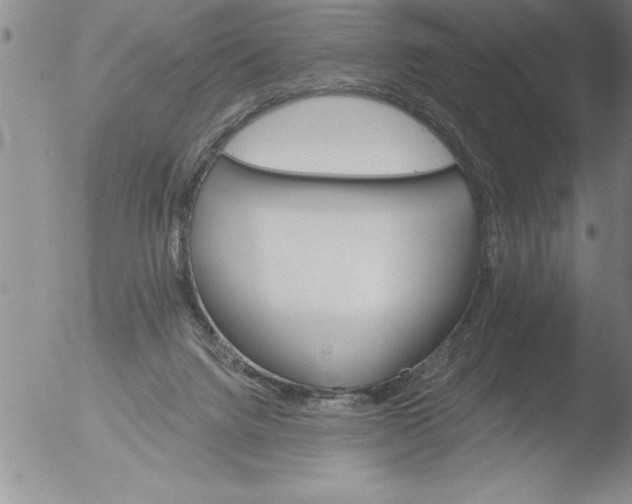 X0000051860072200507081833