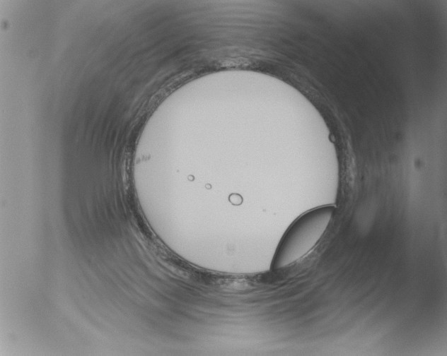 X0000051860074200507081833