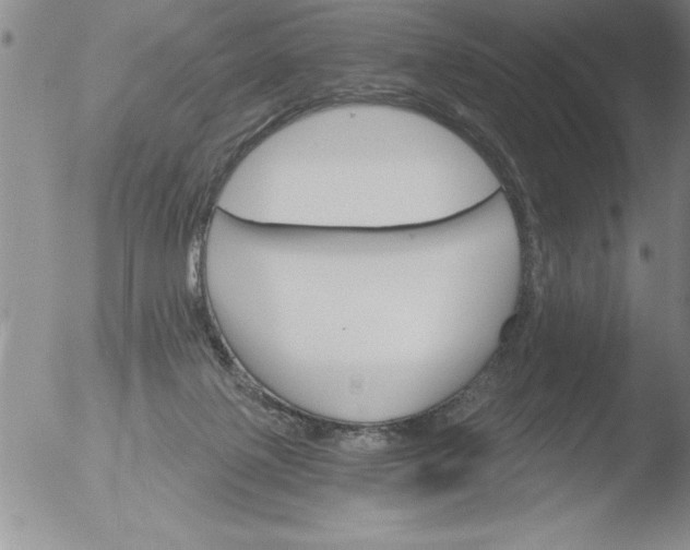 X0000051860075200507081833