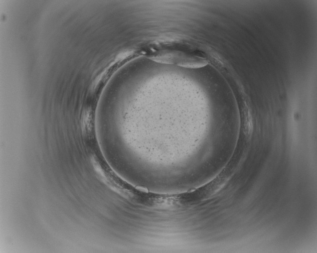 X0000051860077200507081833