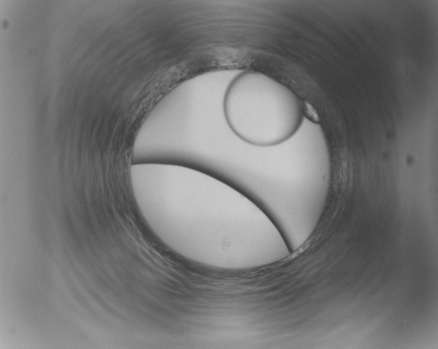 X0000051860078200507081833