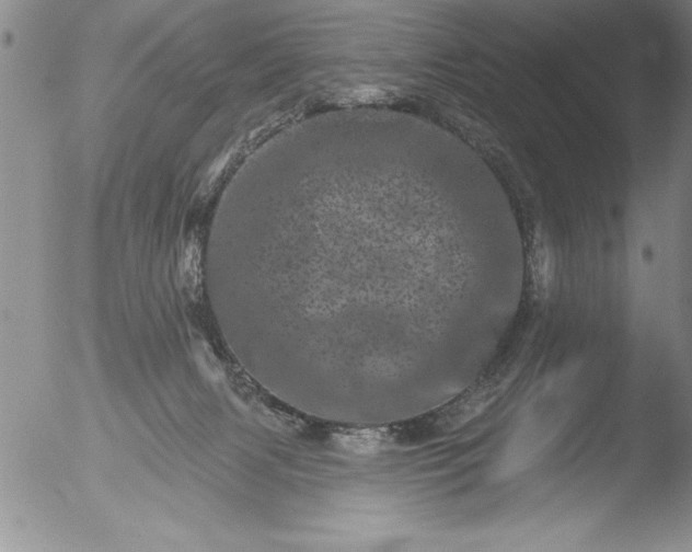 X0000051860079200507081833