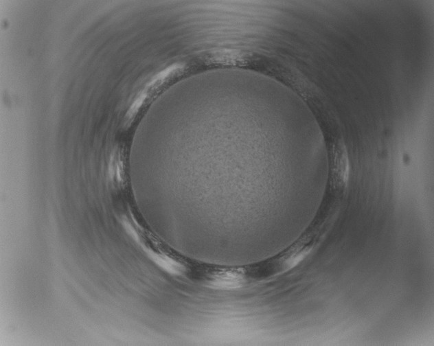 X0000051860080200507081833