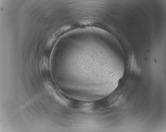 X0000051860081200507081833