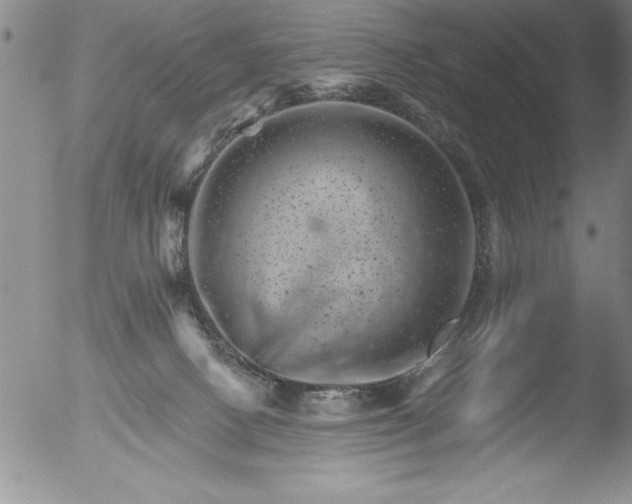 X0000051860082200507081833