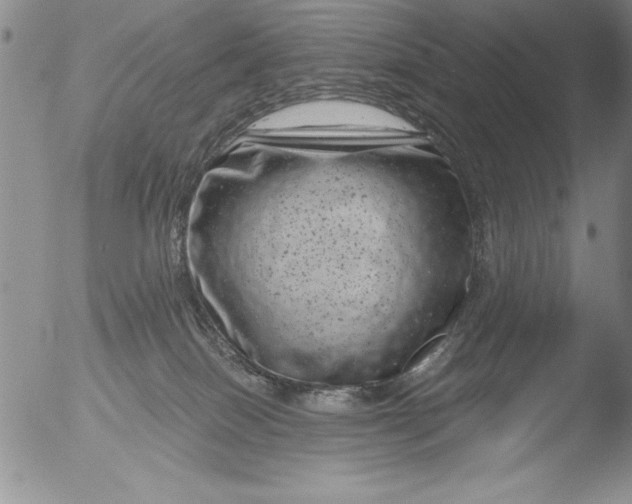 X0000051860086200507081833