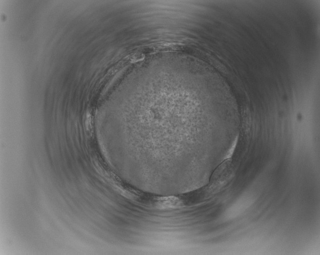 X0000051860087200507081833