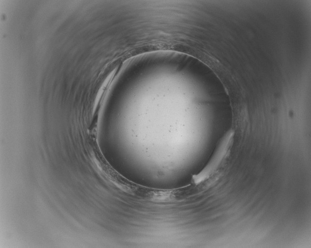 X0000051860088200507081833