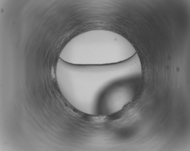 X0000051860089200507081833