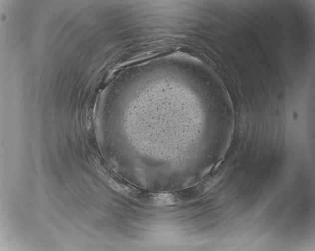 X0000051860091200507081833