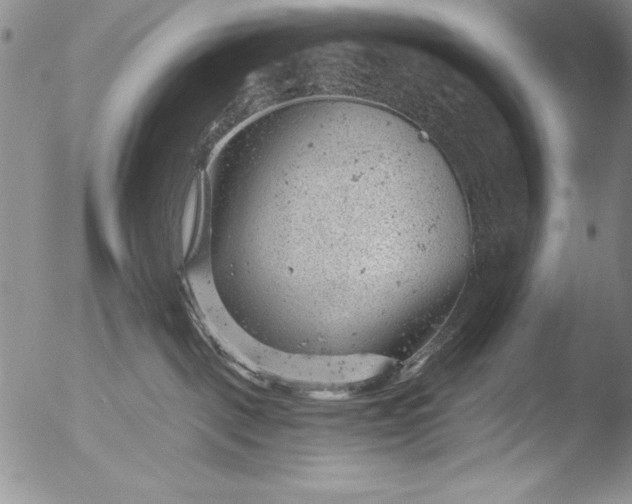 X0000051860093200507081833