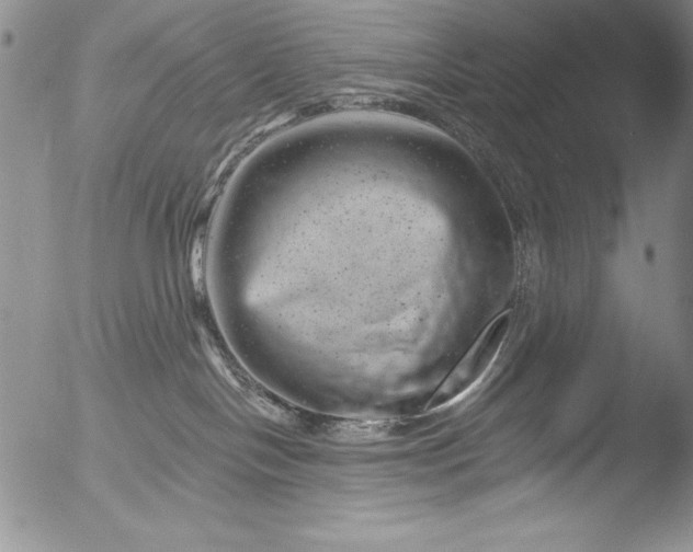 X0000051860094200507081833