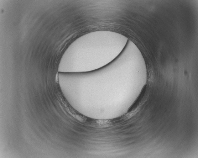 X0000051860095200507081833