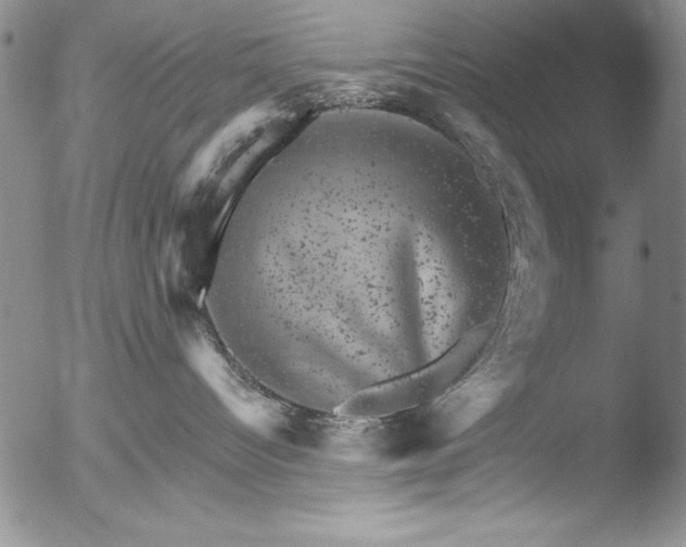 X0000051860096200507081833